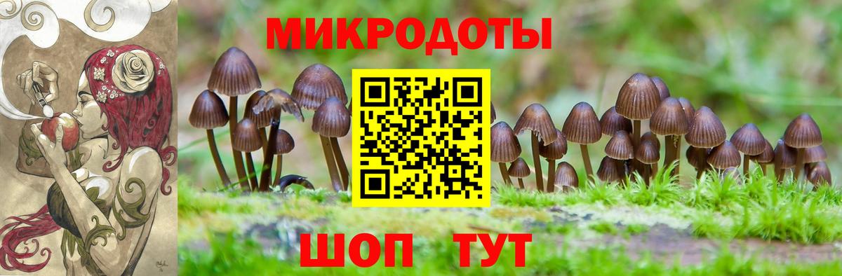 Галлюциногенные грибы Psilocybe  Галлюциногенные грибы MAGIC MUSHROOMS  Гатчина  Вход с VPN 